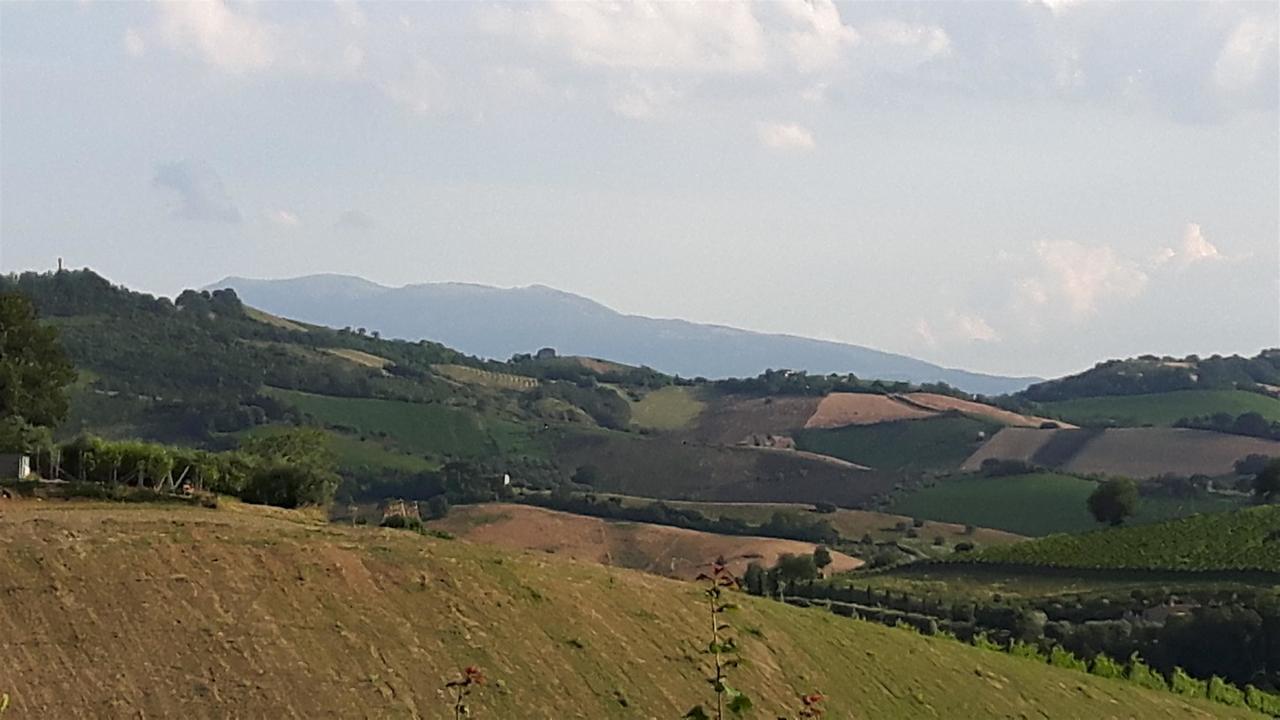 La Casa In Campagna Bed and Breakfast Cossignano Exterior foto
