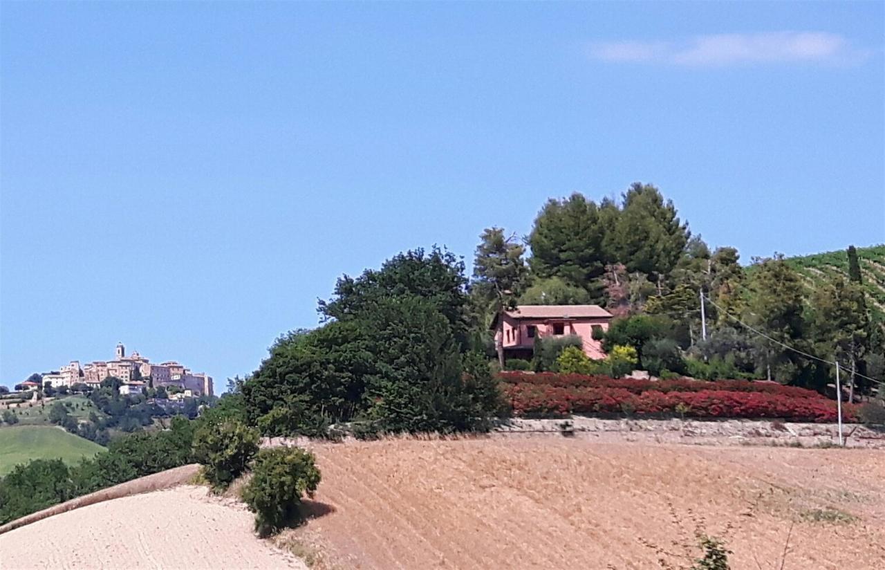 La Casa In Campagna Bed and Breakfast Cossignano Exterior foto