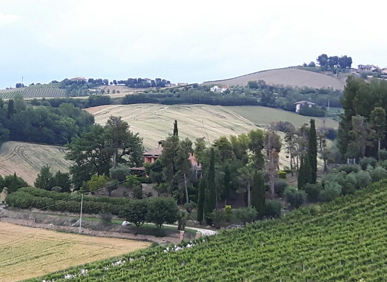 La Casa In Campagna Bed and Breakfast Cossignano Exterior foto